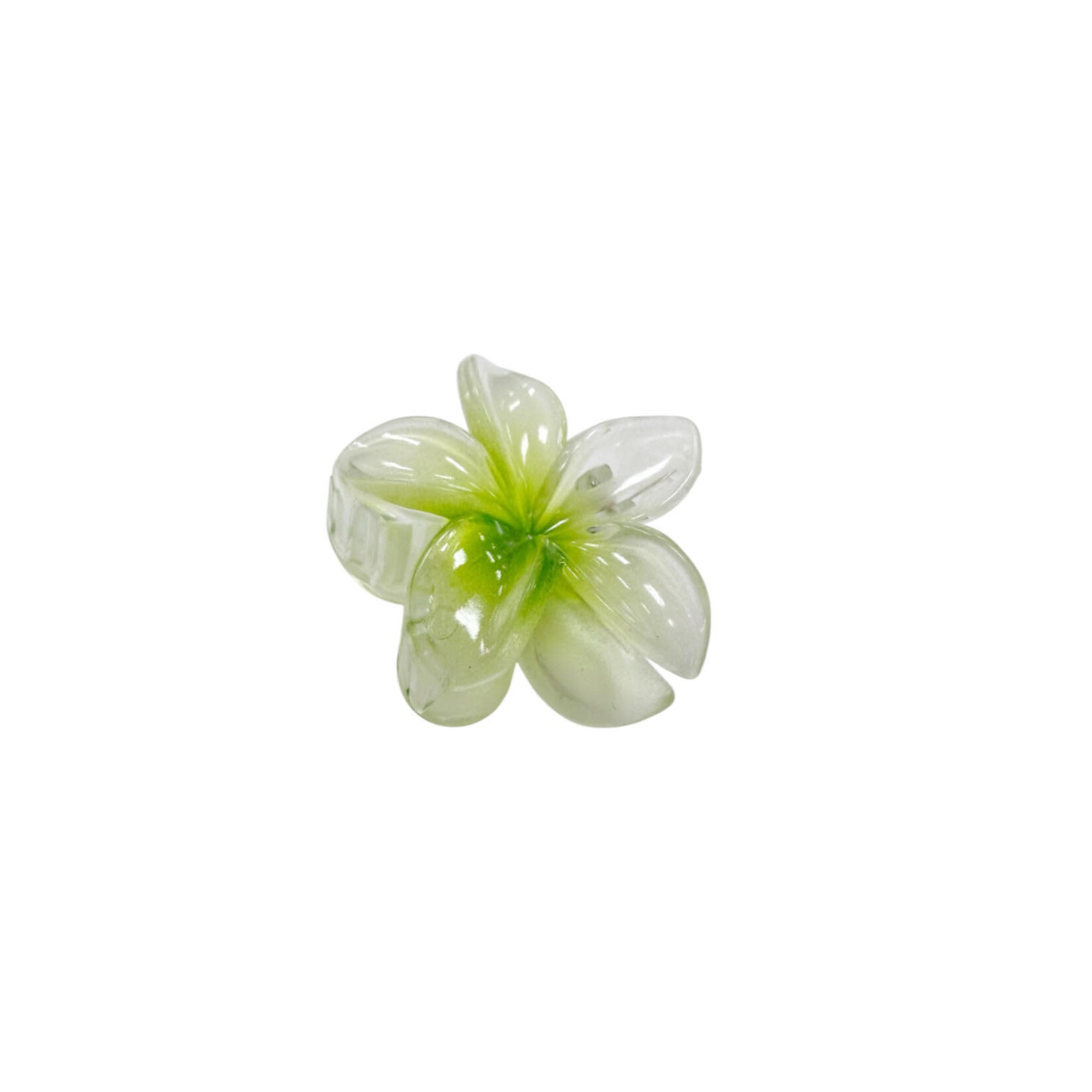 Small 2" Plumeria Hair Claw Clear Green