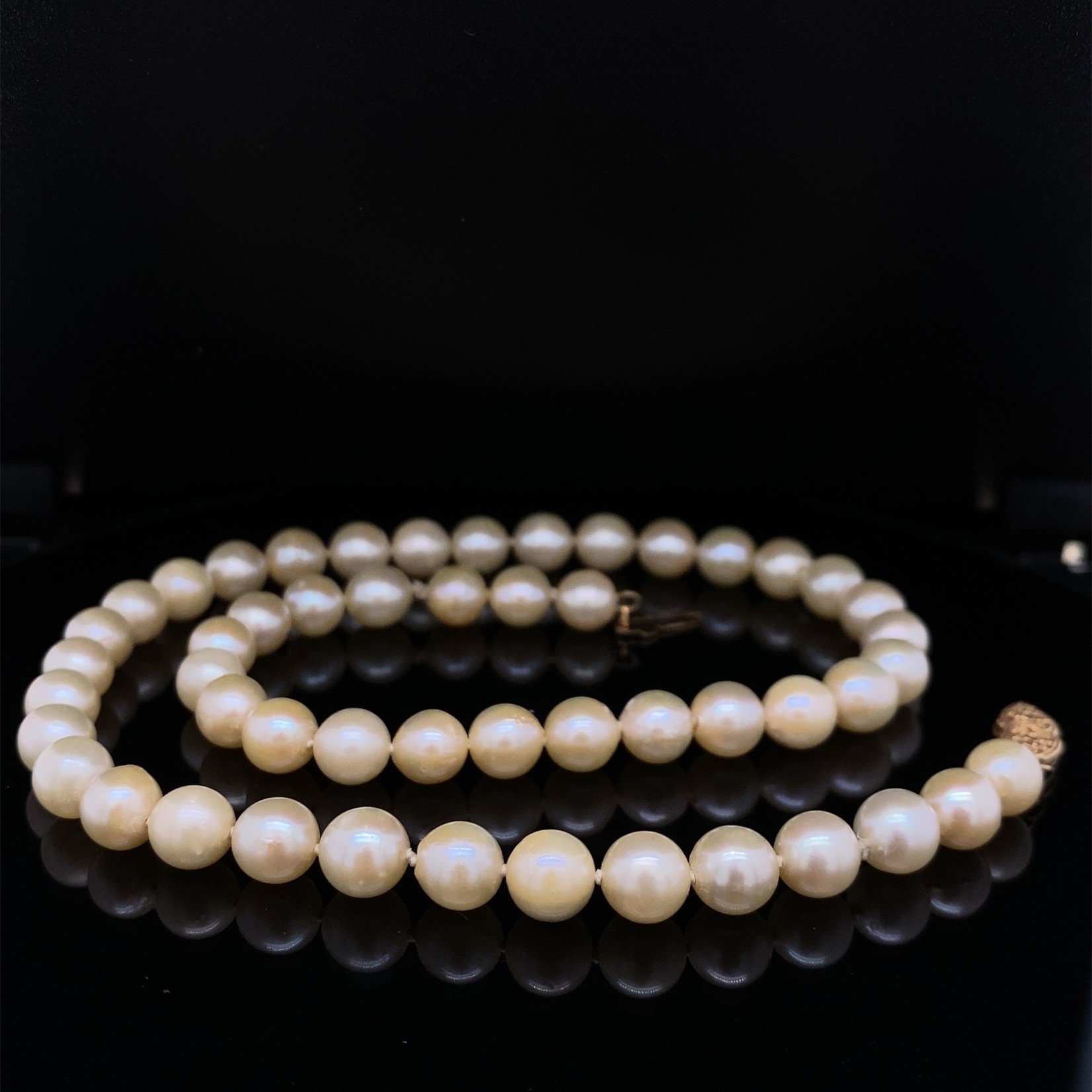 14k Yellow Gold Clasp 16" 7mm Akoya Pearl Necklace