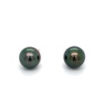 14K White Gold 9-10mm Tahitian Pearls Stud earrings