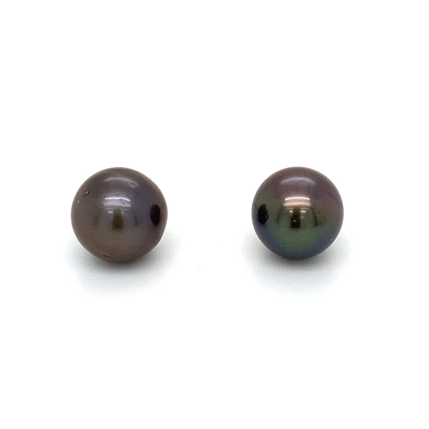 14K Yellow Gold 9mm Tahitian Pearl Stud earrings