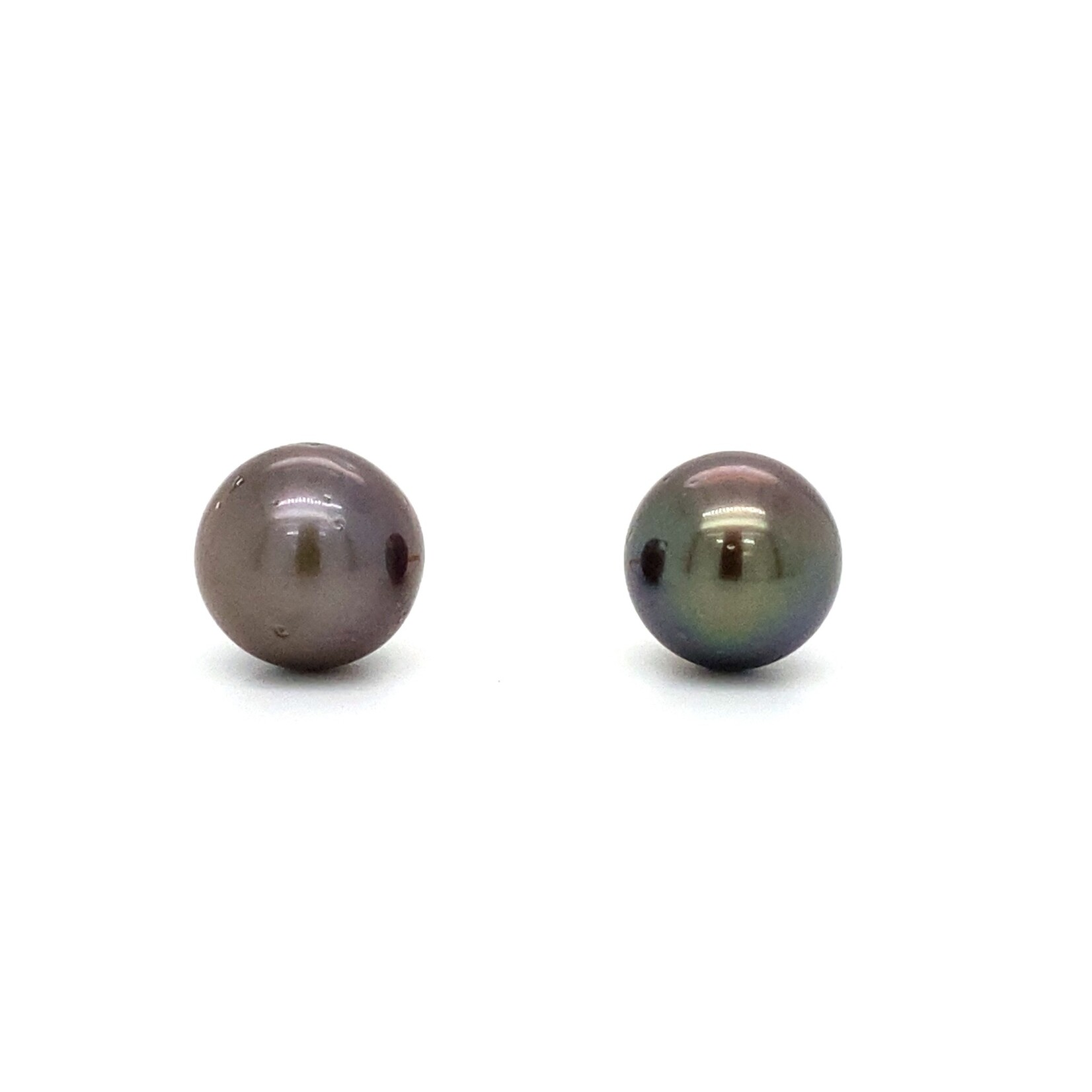 14K Yellow Gold 9mm Tahitian Pearl Stud earrings