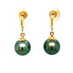 14K Yellow Gold 9mm Tahitian Pearl dangles