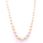 14K Yellow Gold 18.5" Graduated Akoya necklace