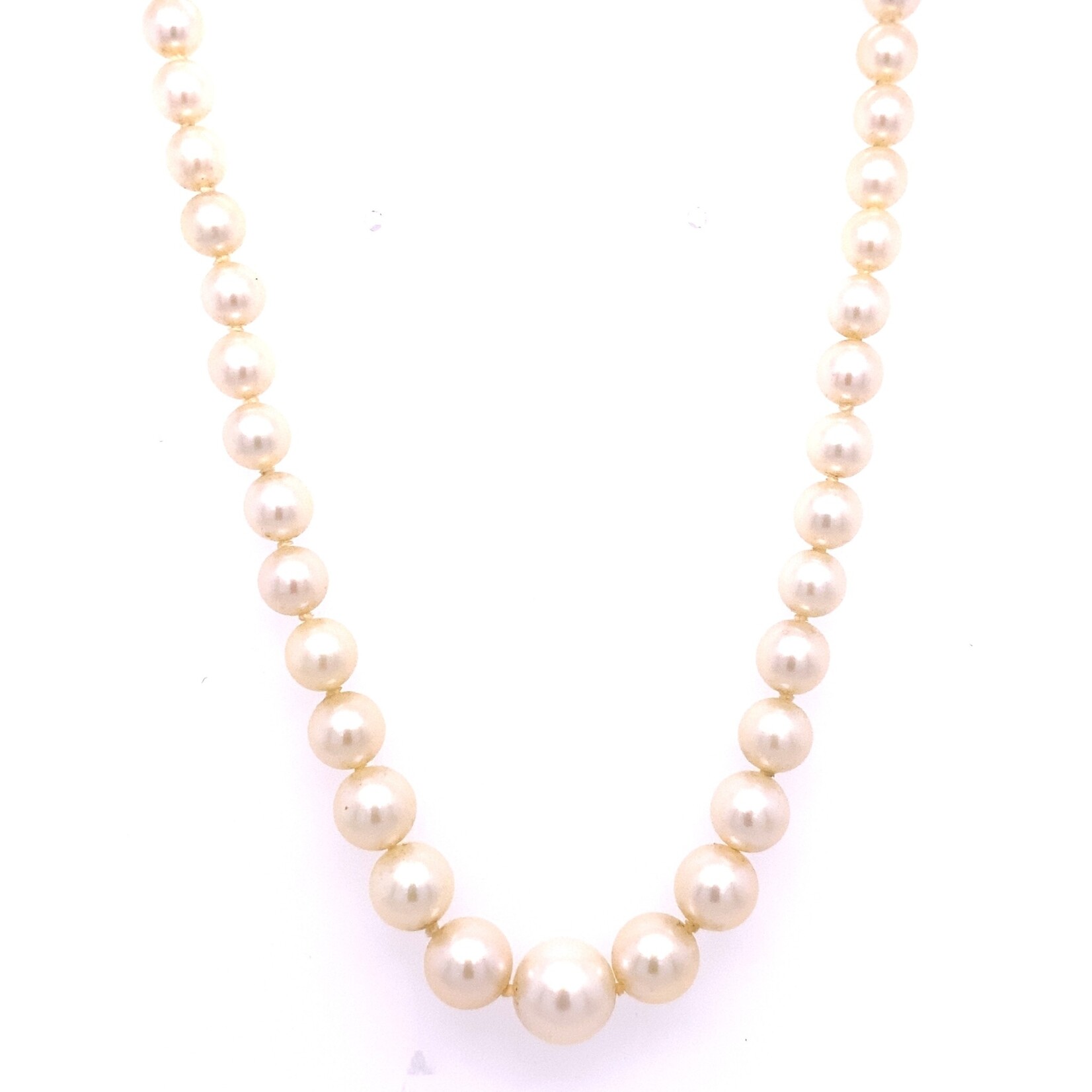 14K Yellow Gold 18.5" Graduated Akoya necklace