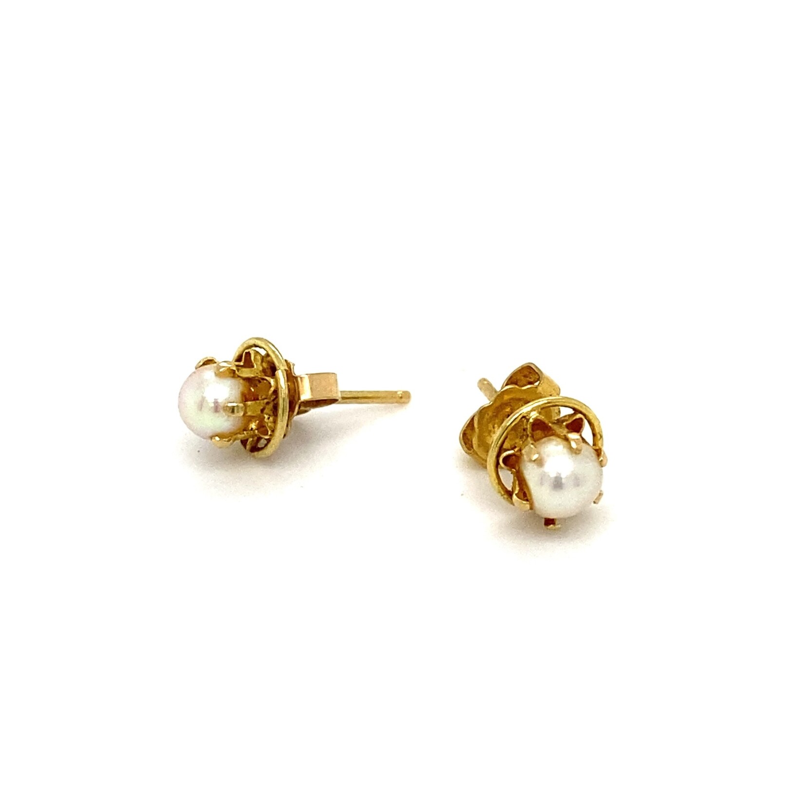 14K Yellow Gold Pearl studs