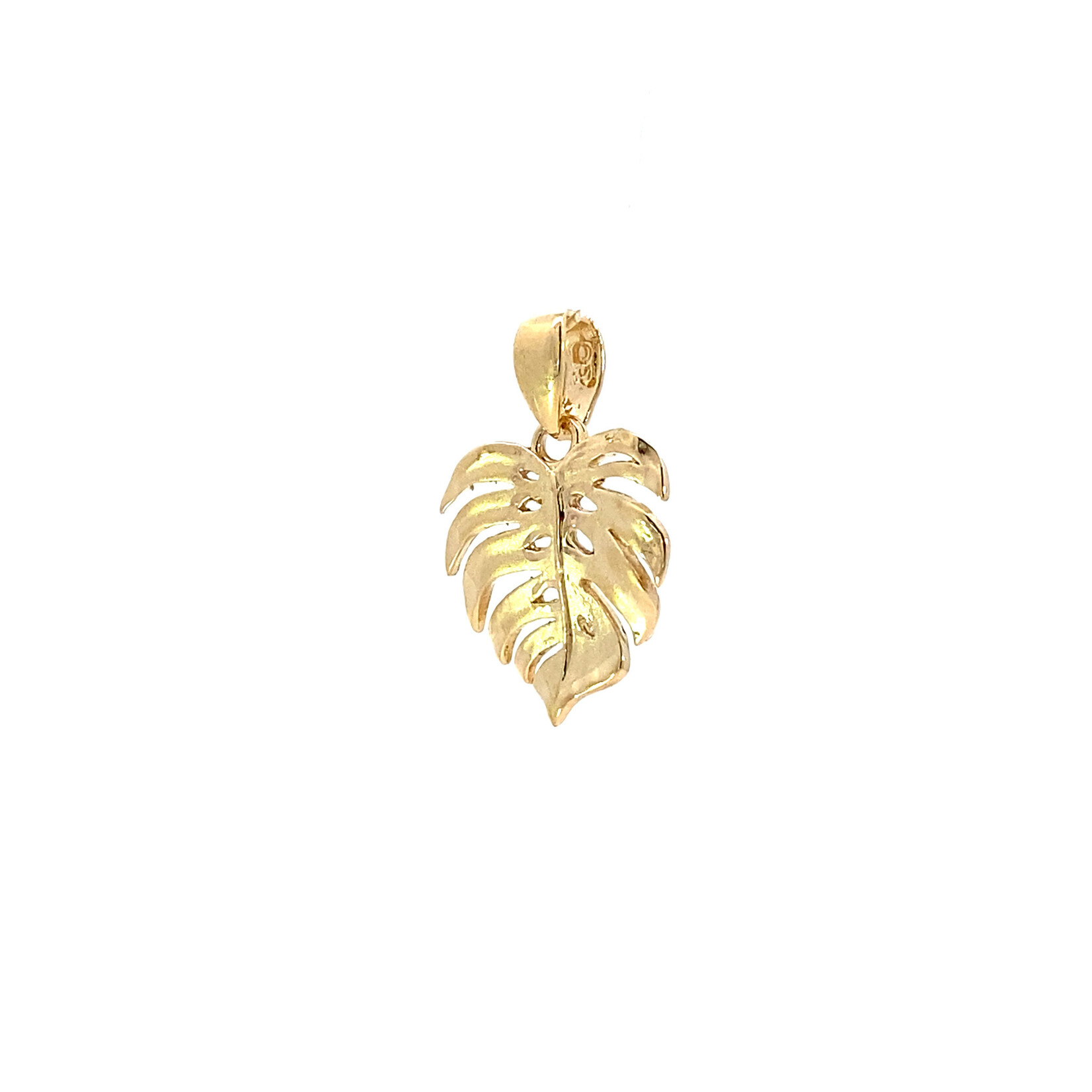 14K Yellow Gold Monstera 15x22mm
