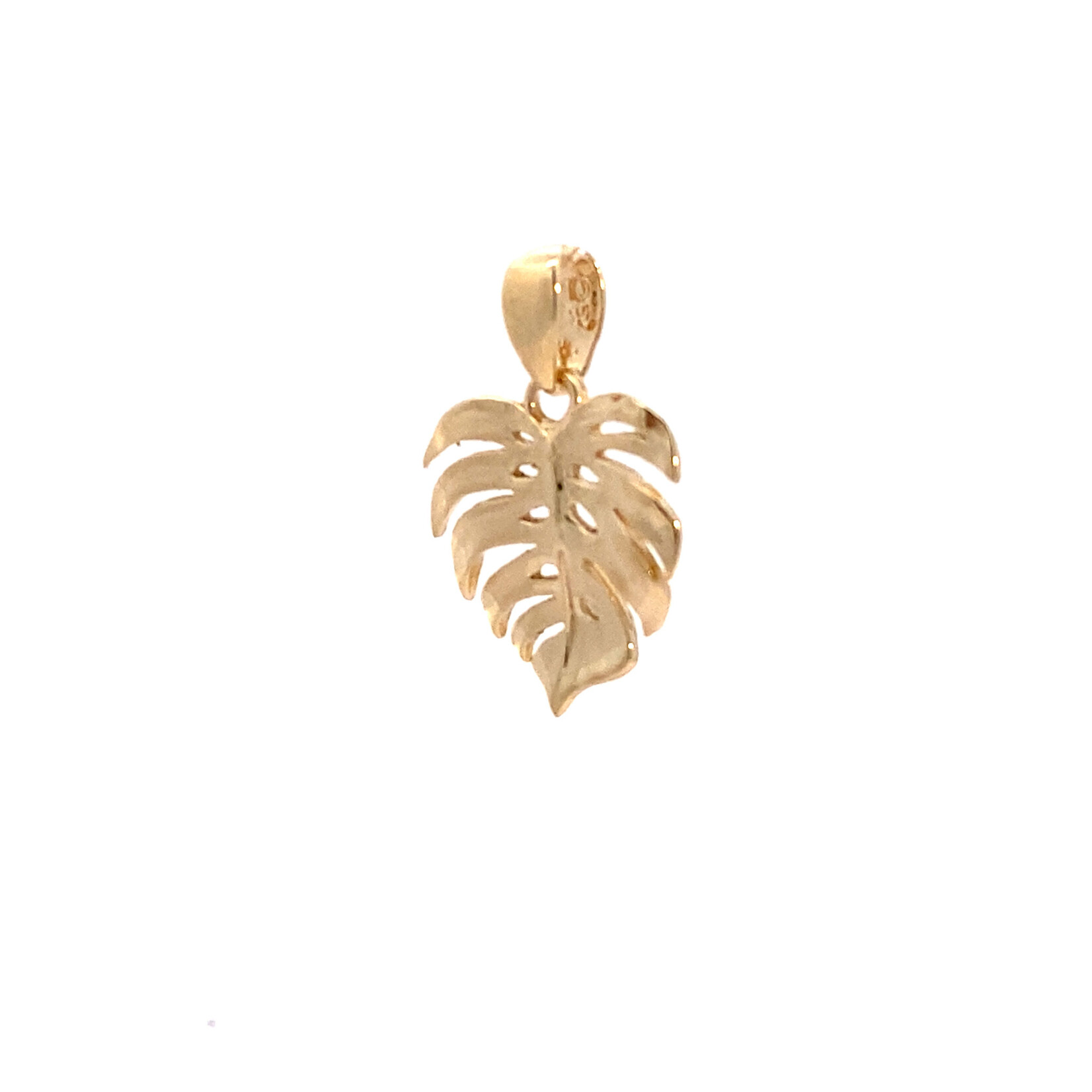 14K Yellow Gold Monstera 15x22mm