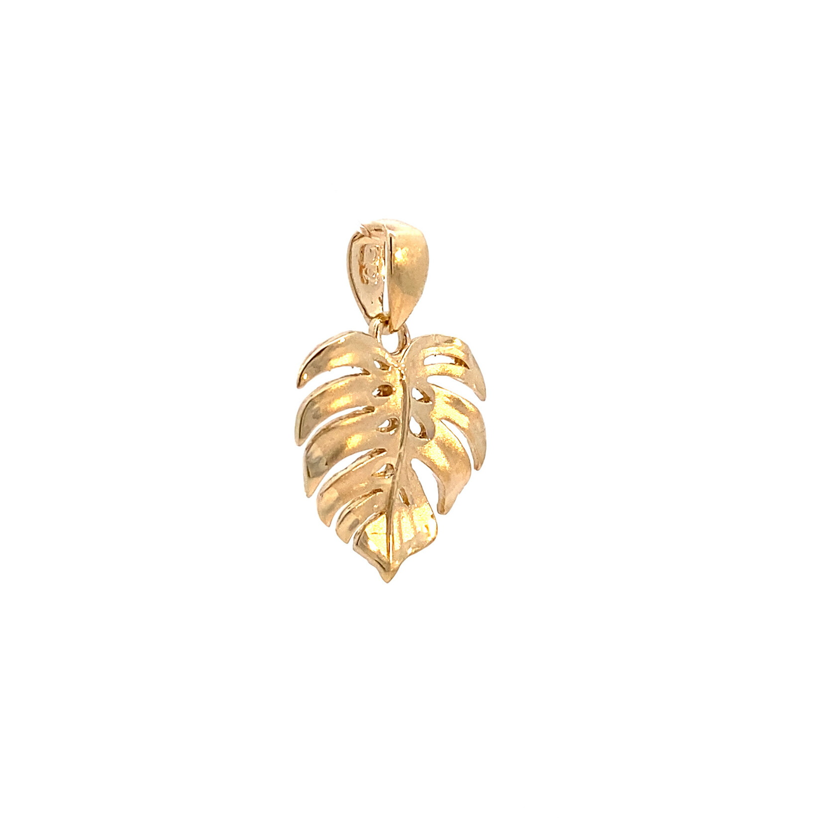 14K Yellow Gold Monstera 15x22mm