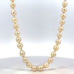 Sterling Silver 19.5" Fresh Water Pearl Strand