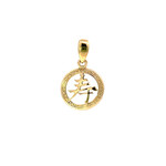 14K Yellow Gold Prosperity Pendant