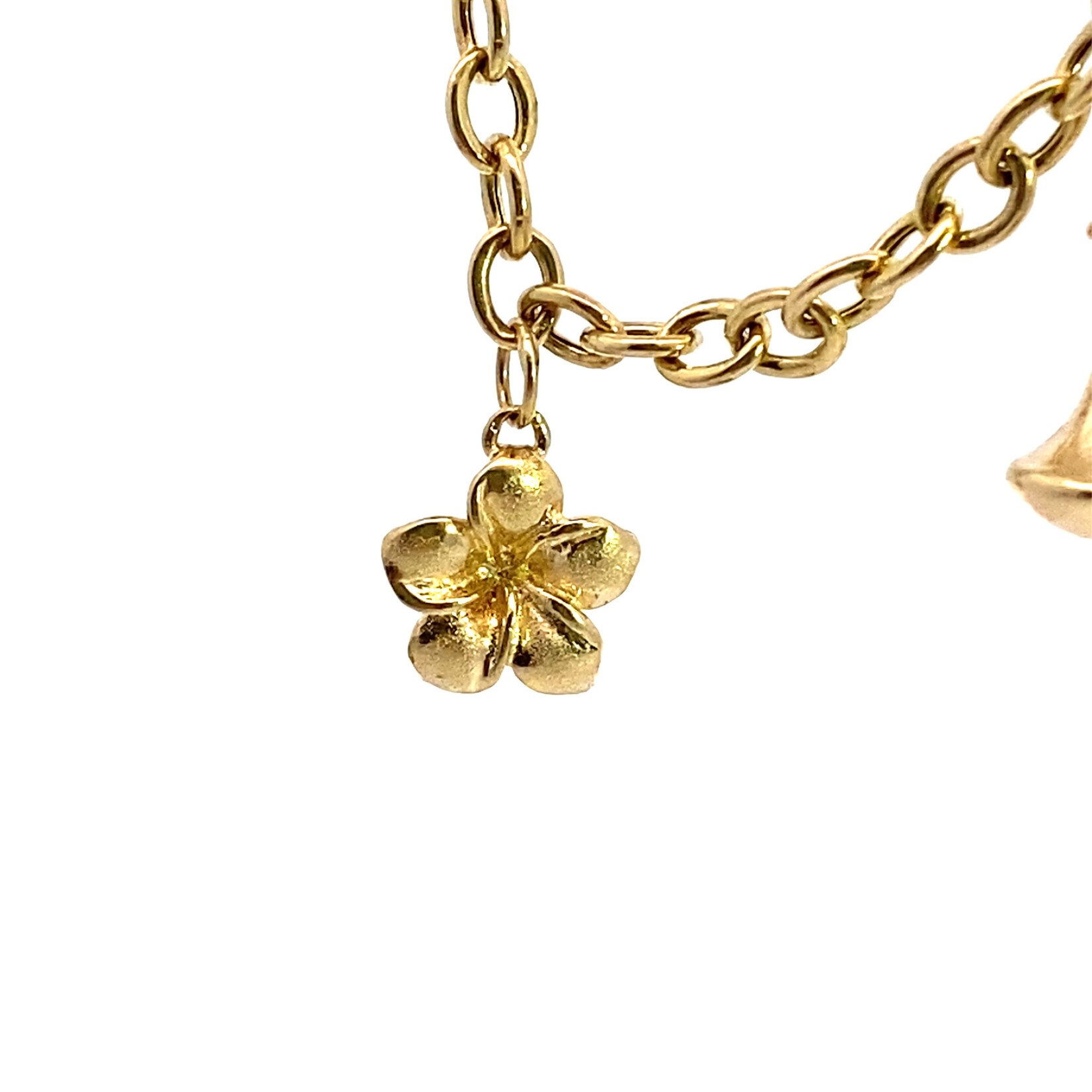 14K Yellow Gold 8" Hawaiian Charm Bracelet with Articulated Padlock Clasp