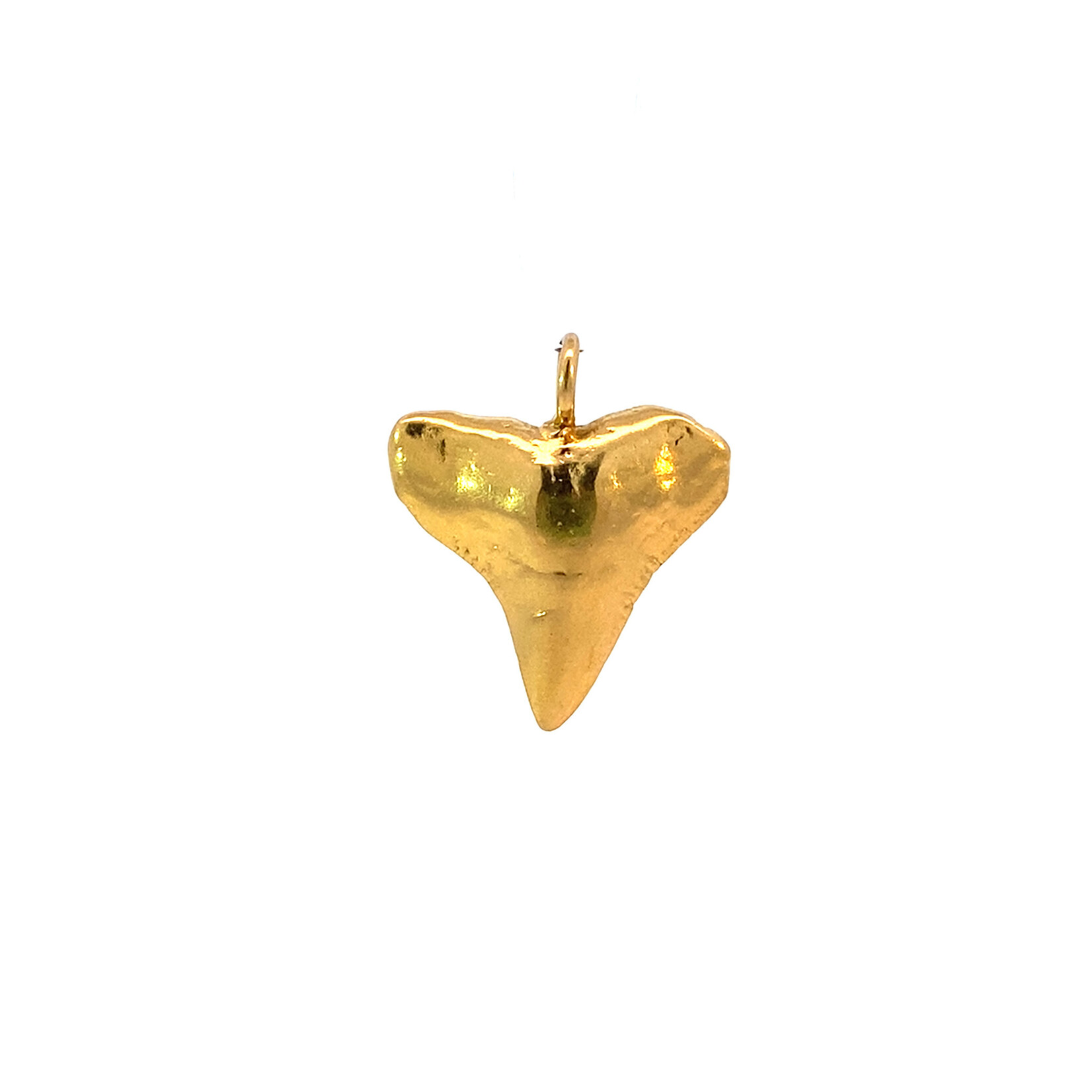 14K Yellow Gold Shark Tooth Pendant
