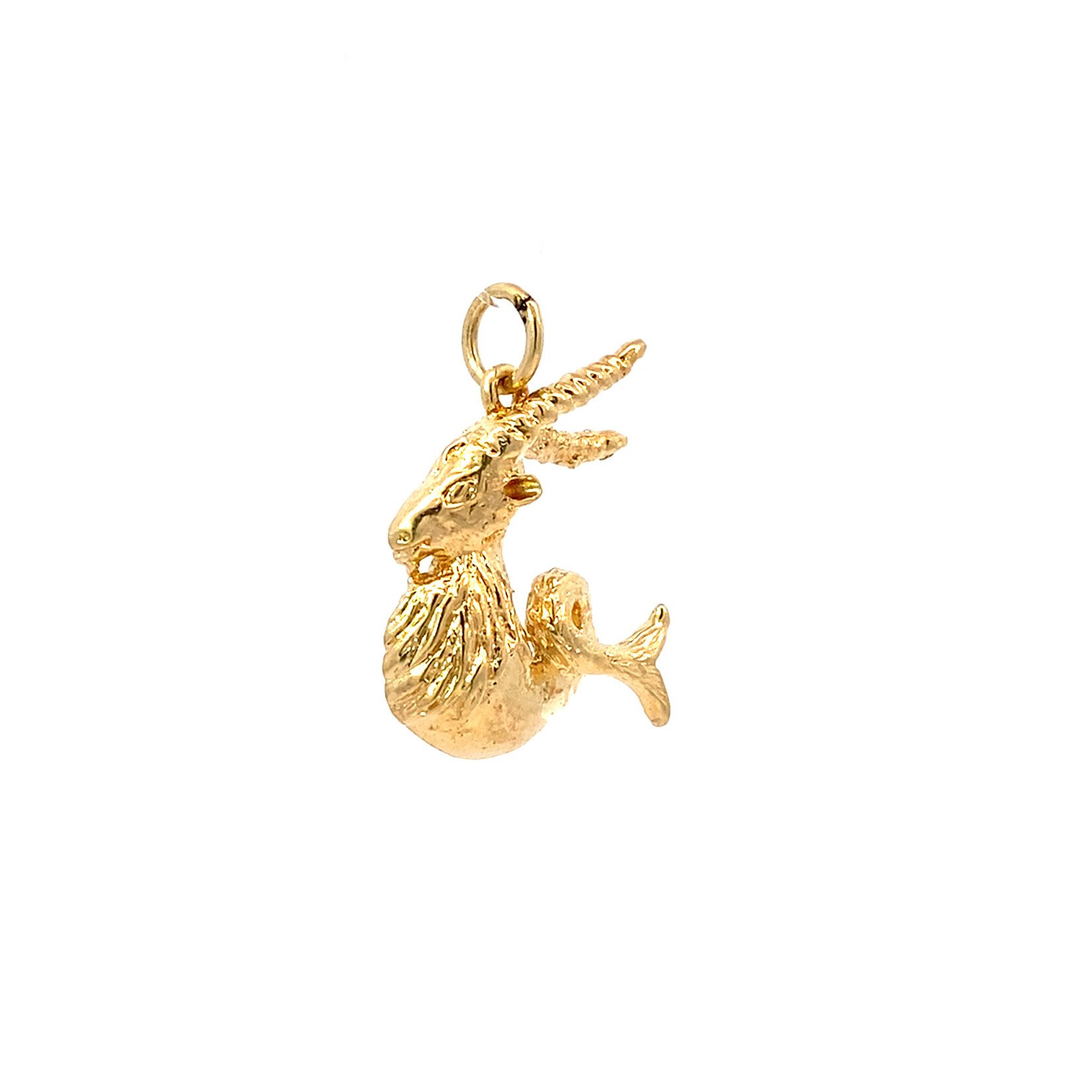 14K Yellow Gold Capricorn Charm