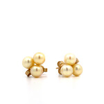 14K Yellow Gold MINGS Creamy Yellow Pearl Earrings