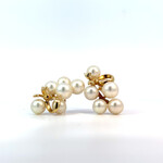 14K Yellow Gold Akoya Pearl Earrings