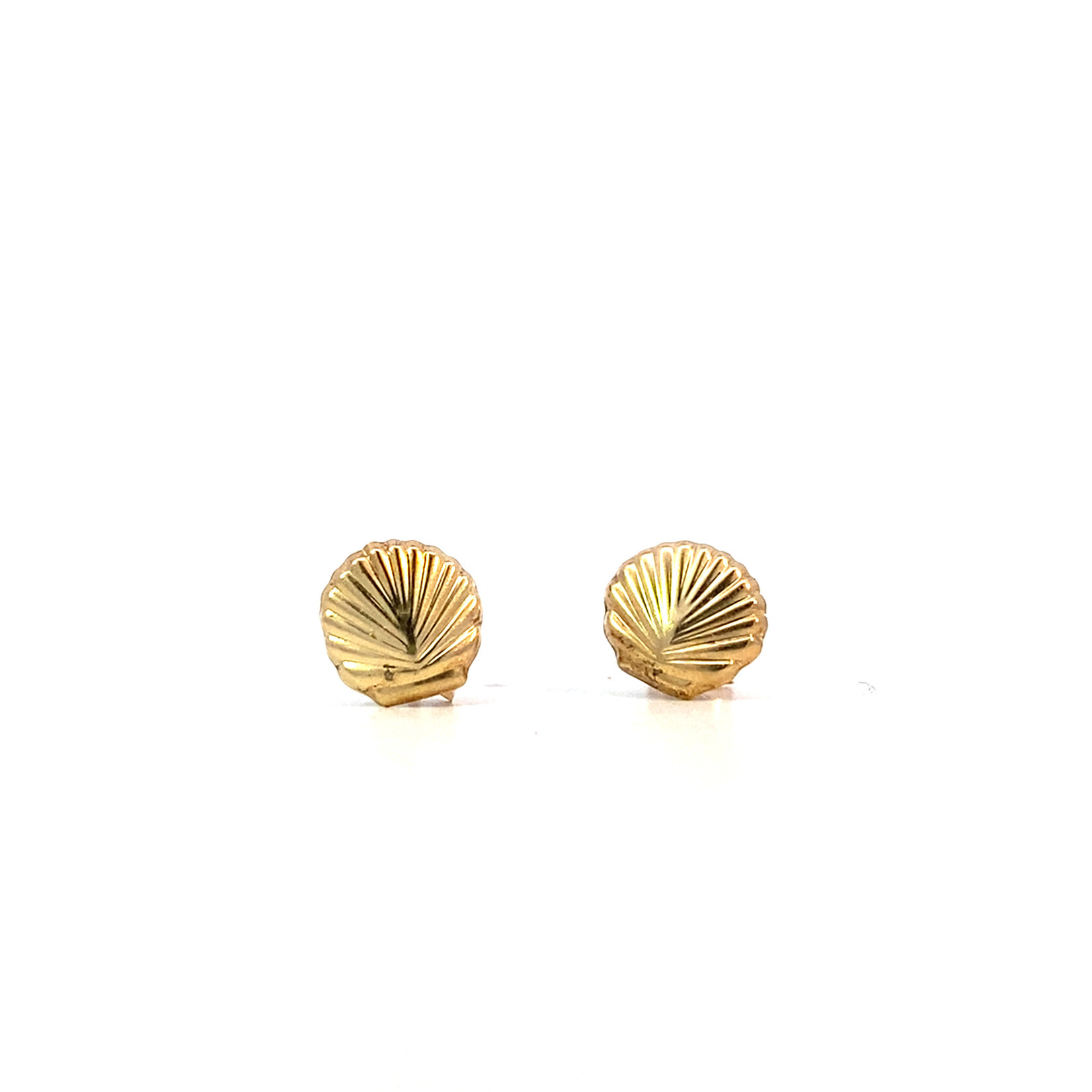 14K Yellow Gold Shell Post Earrings