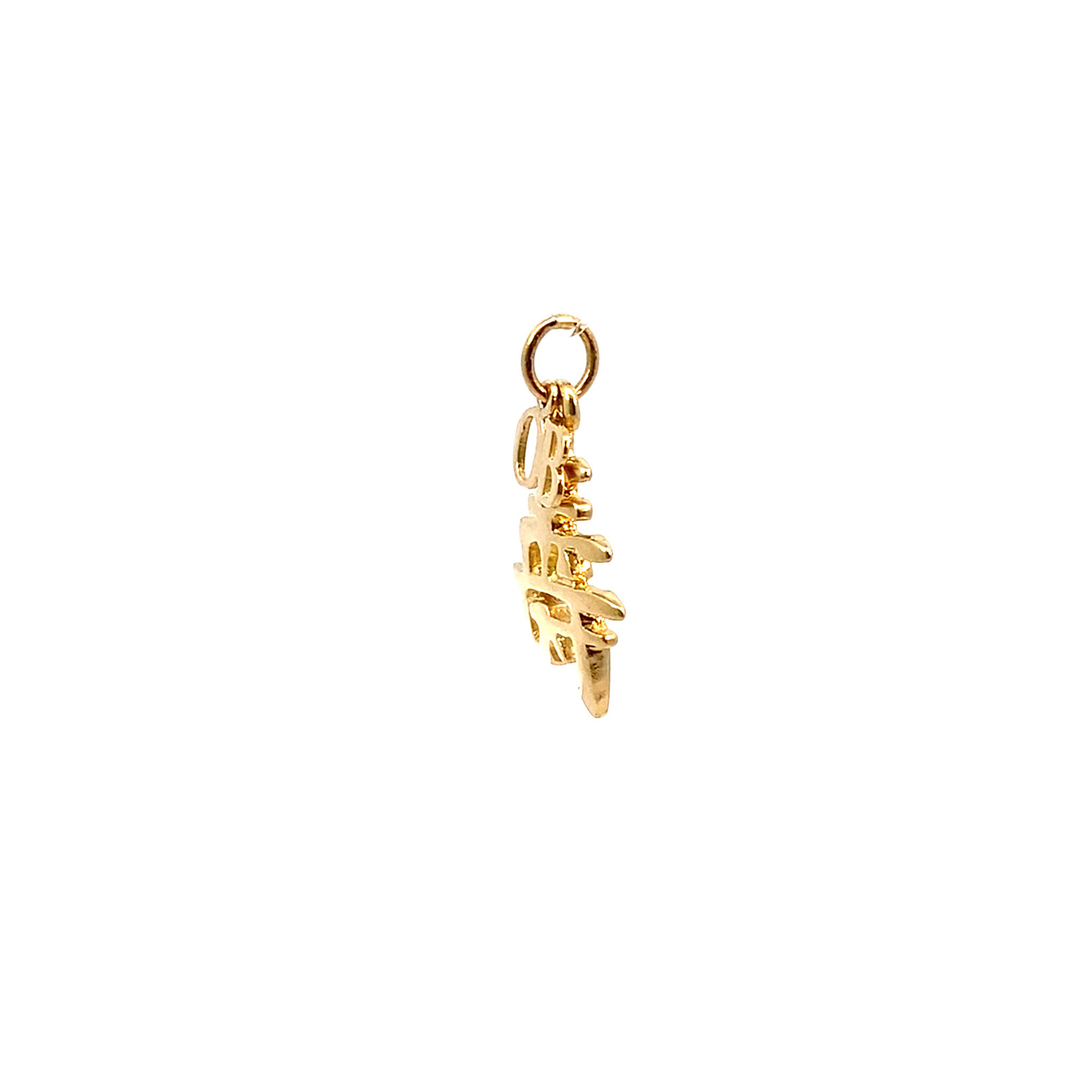14K Yellow Gold "Longe Life" Kanji Pendant
