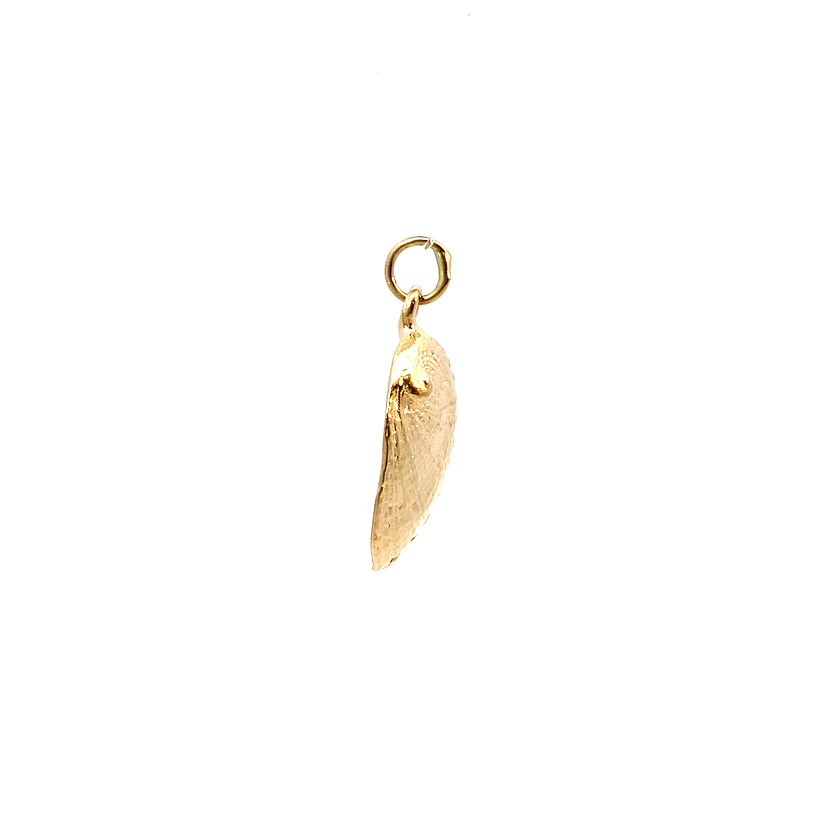 14K Yellow Gold Shell Charm