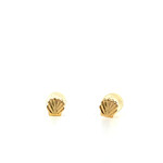 14K Yellow Gold Shell Post Earrings