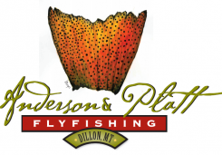 Anderson & Platt Outfitters