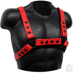 Kookie Garment Leather Infinity Harness