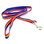 Pride Pet Leash - 6ft