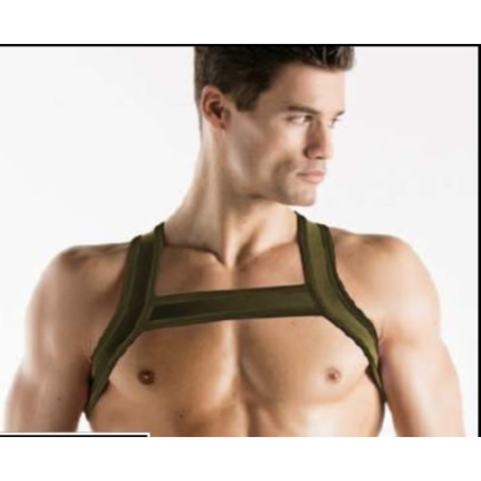 CODE22 - Harness - 8004