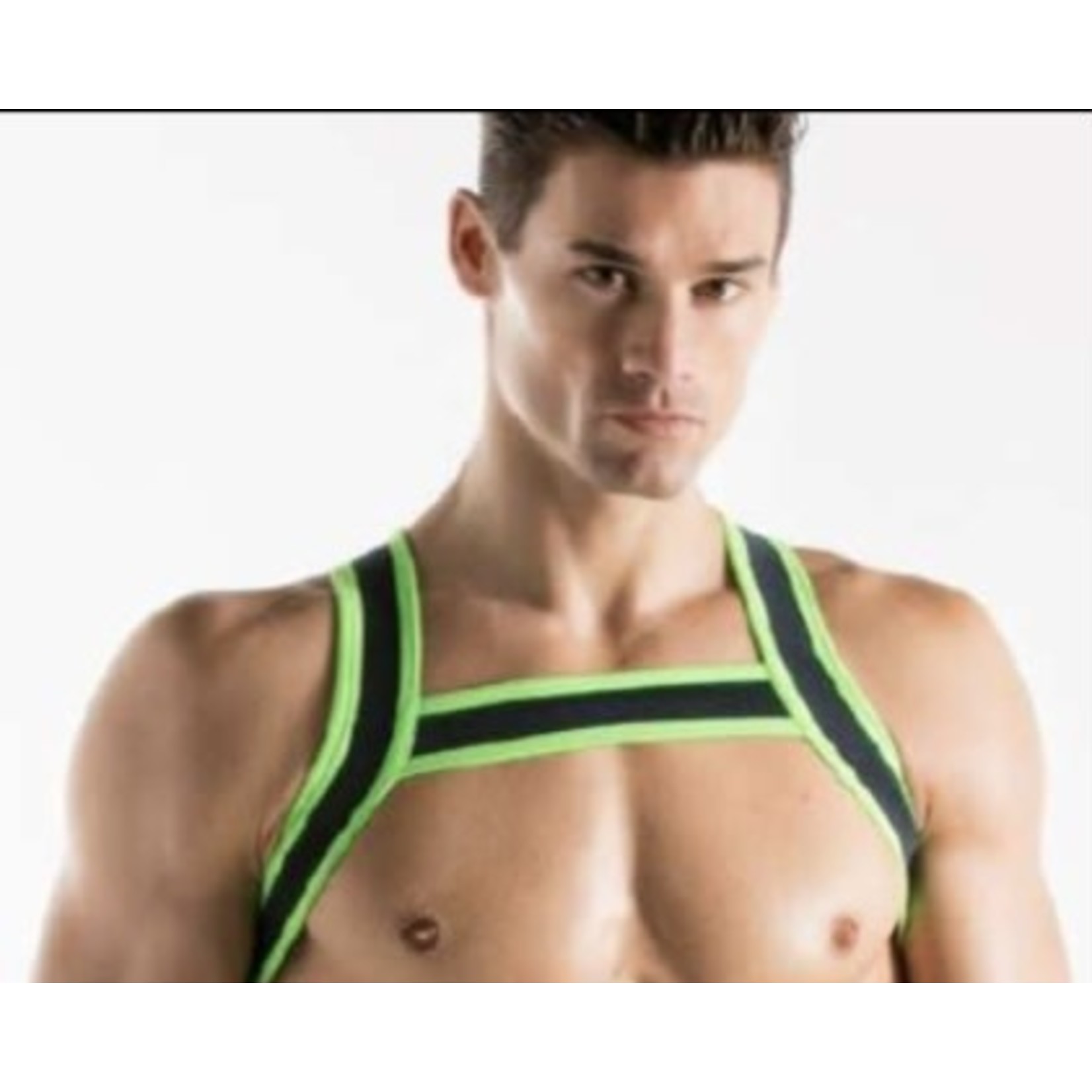 CODE22 - Harness - 8004