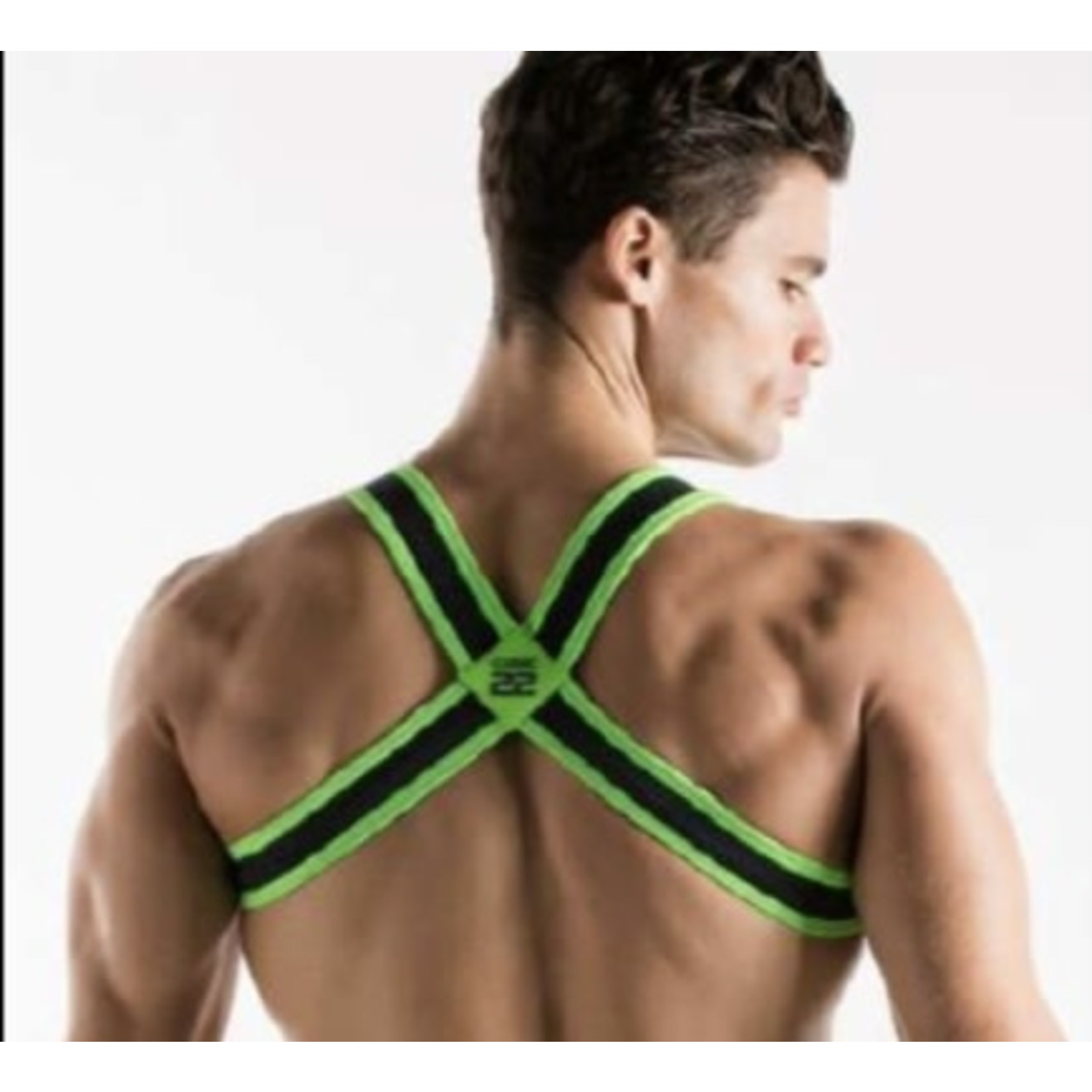 CODE22 - Harness - 8004