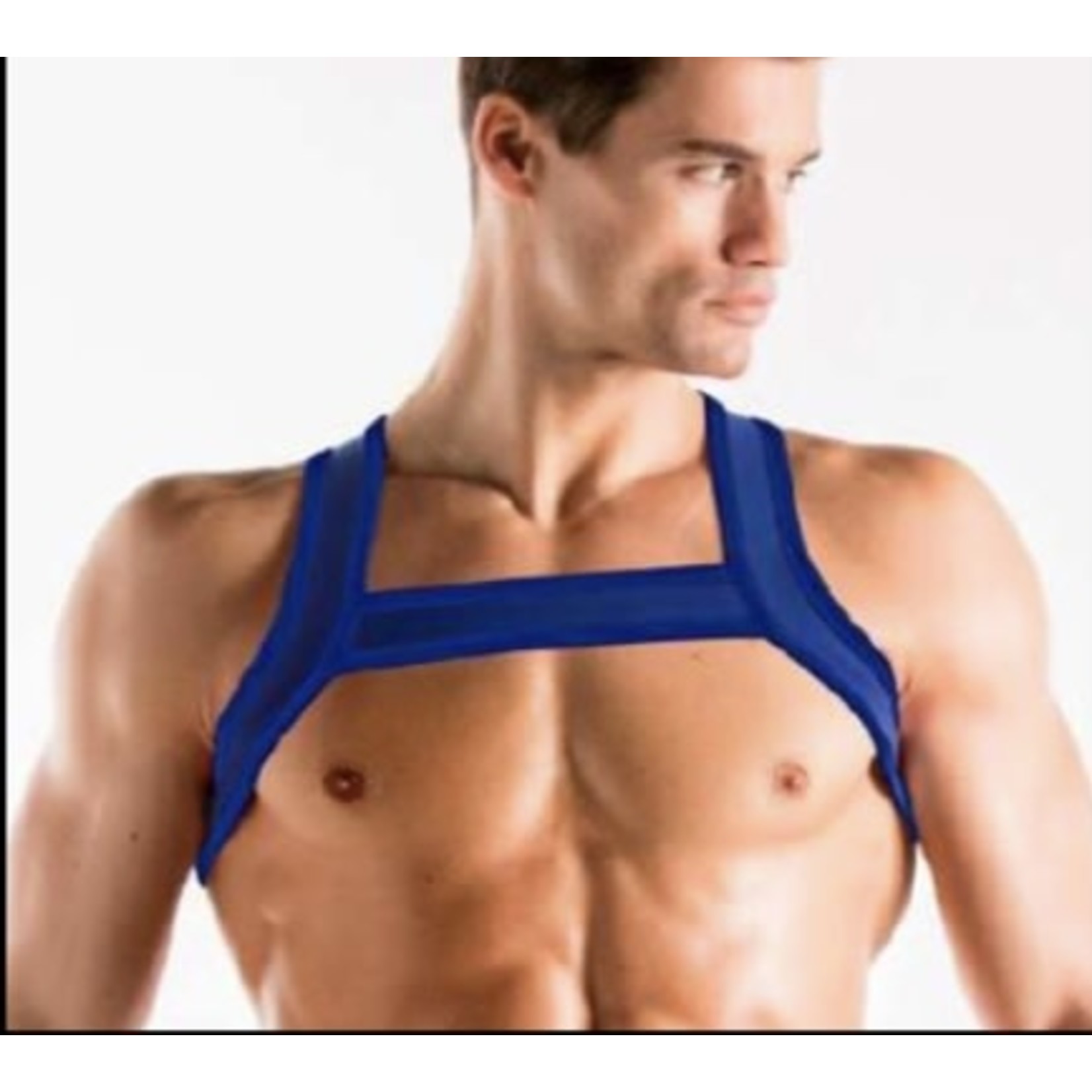 CODE22 - Harness - 8004