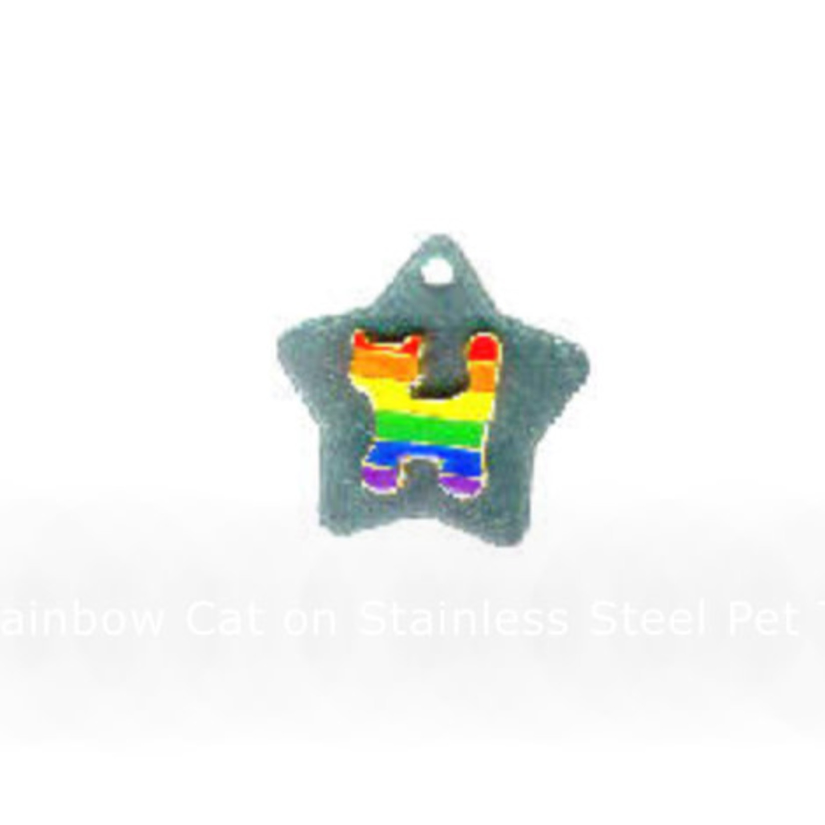 Rainbow Depot Rainbow Cat on Stainless Steel Pet Tag