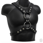 Kookie Garment Leather Scottish Top Harness
