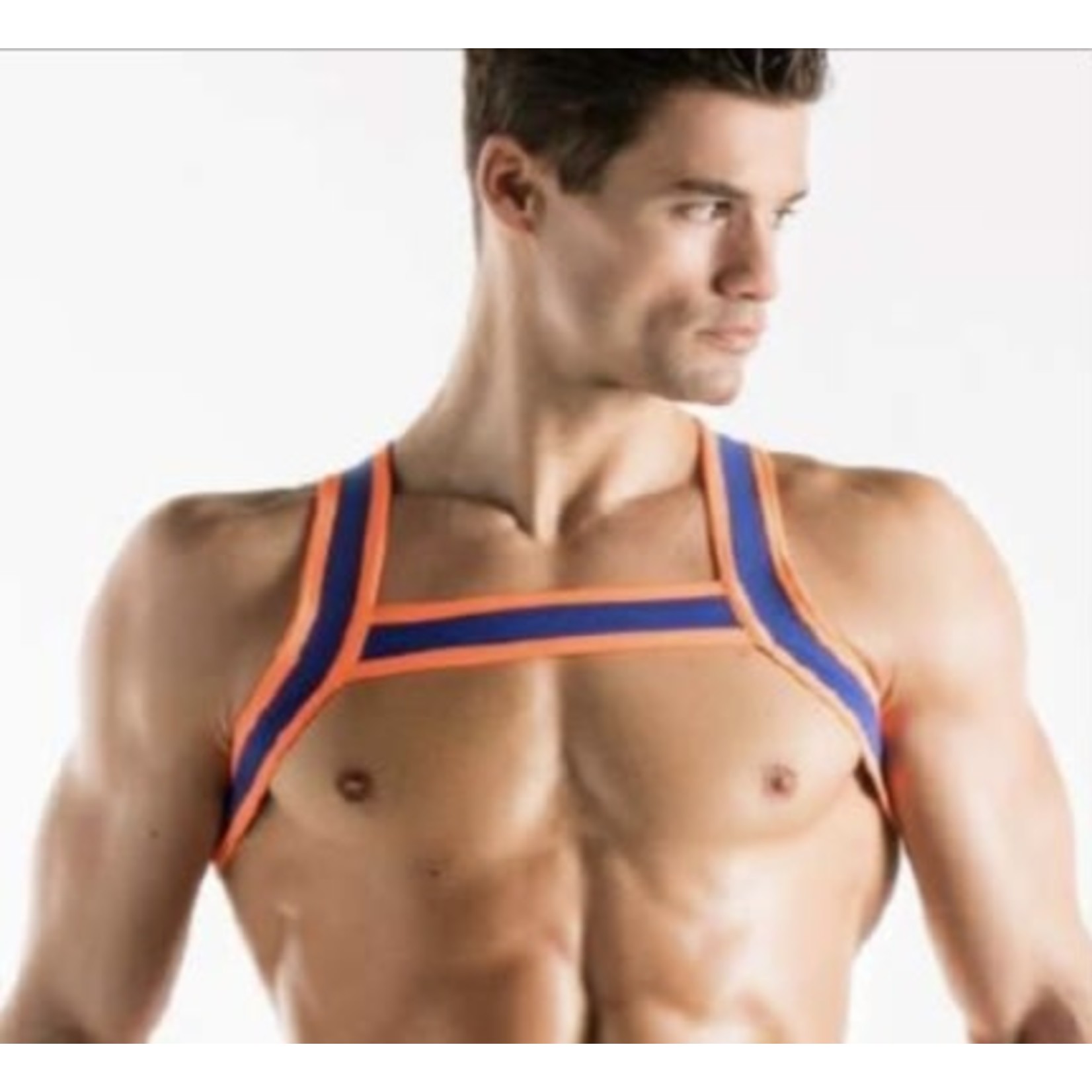 CODE22 - Harness - 8004