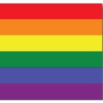 LGBTQ Pride Accessories