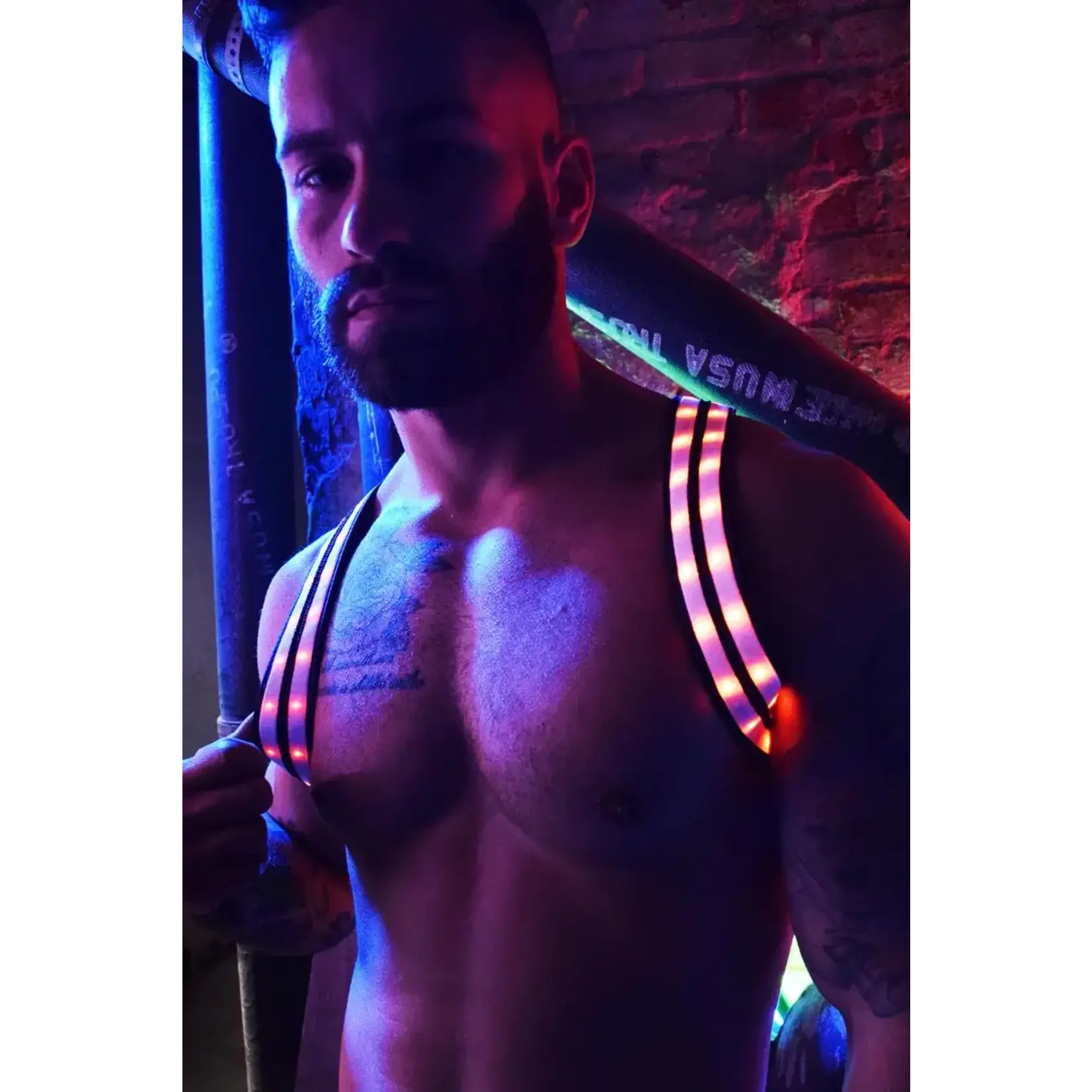 BreedWell Breedwell Rave Harness Light up Twink size