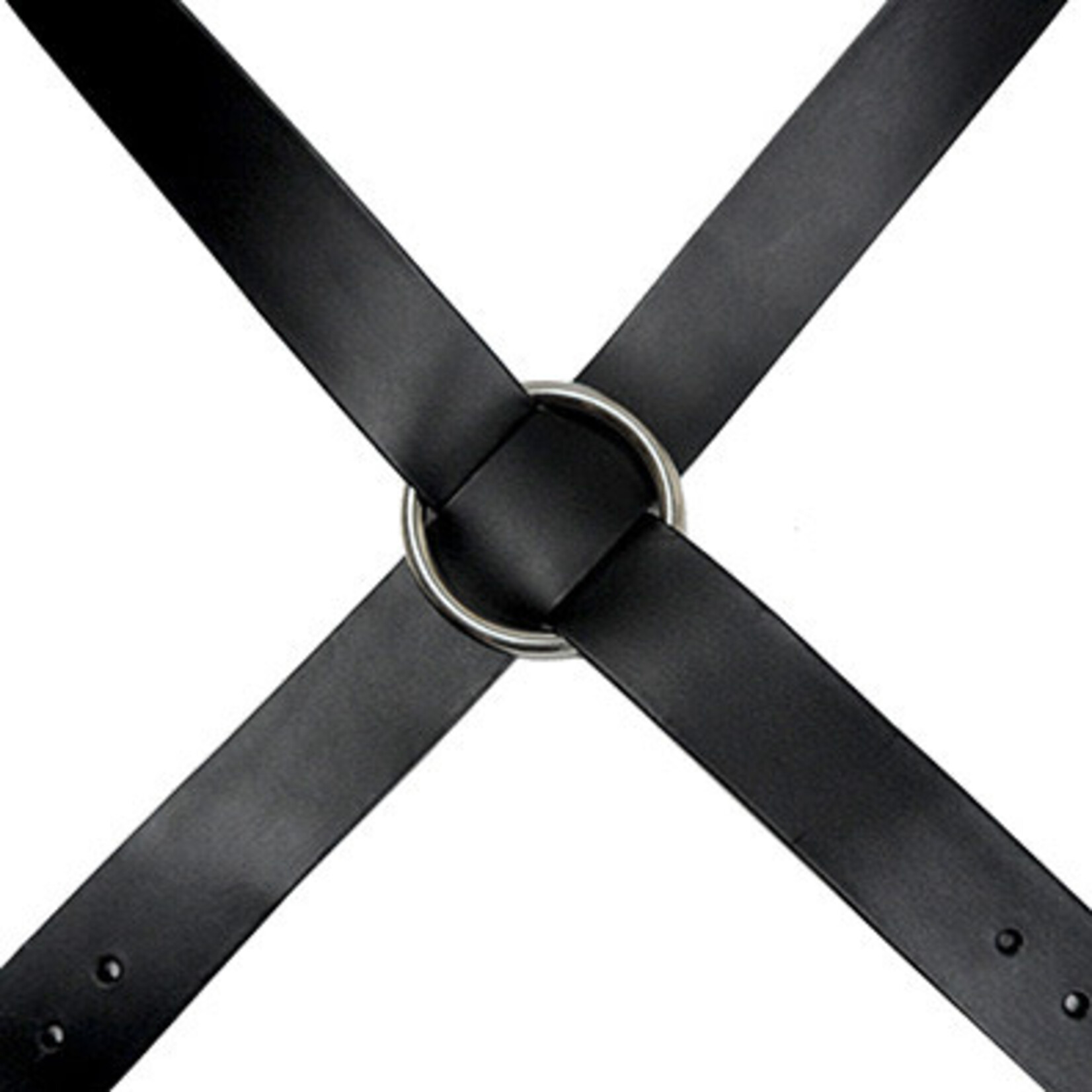 Kookie KOOKIE Black Leather Pride X Harness