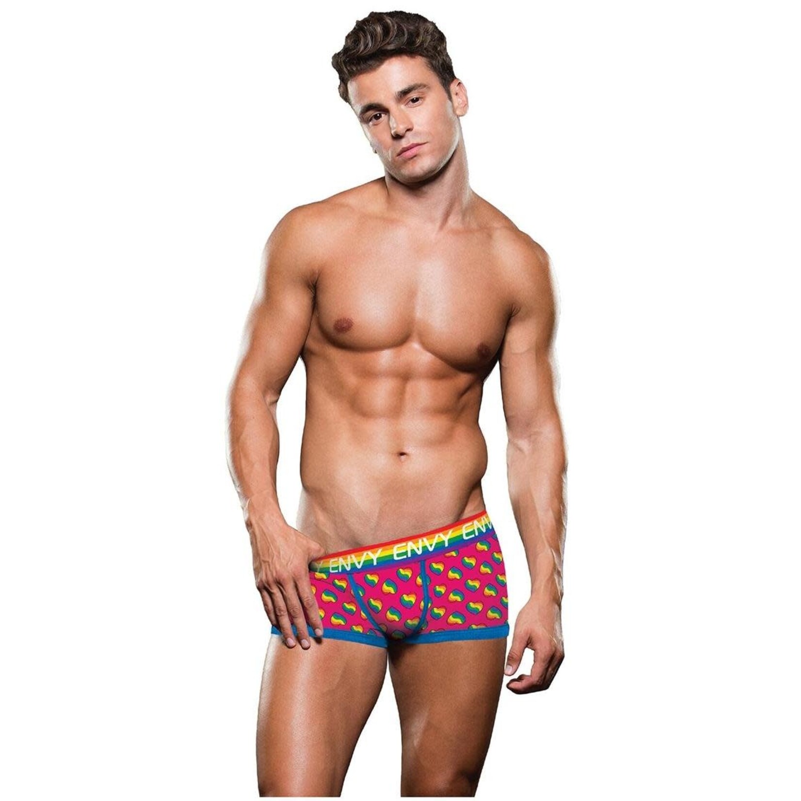 Envy Envy Rainbow Hearts Trunk