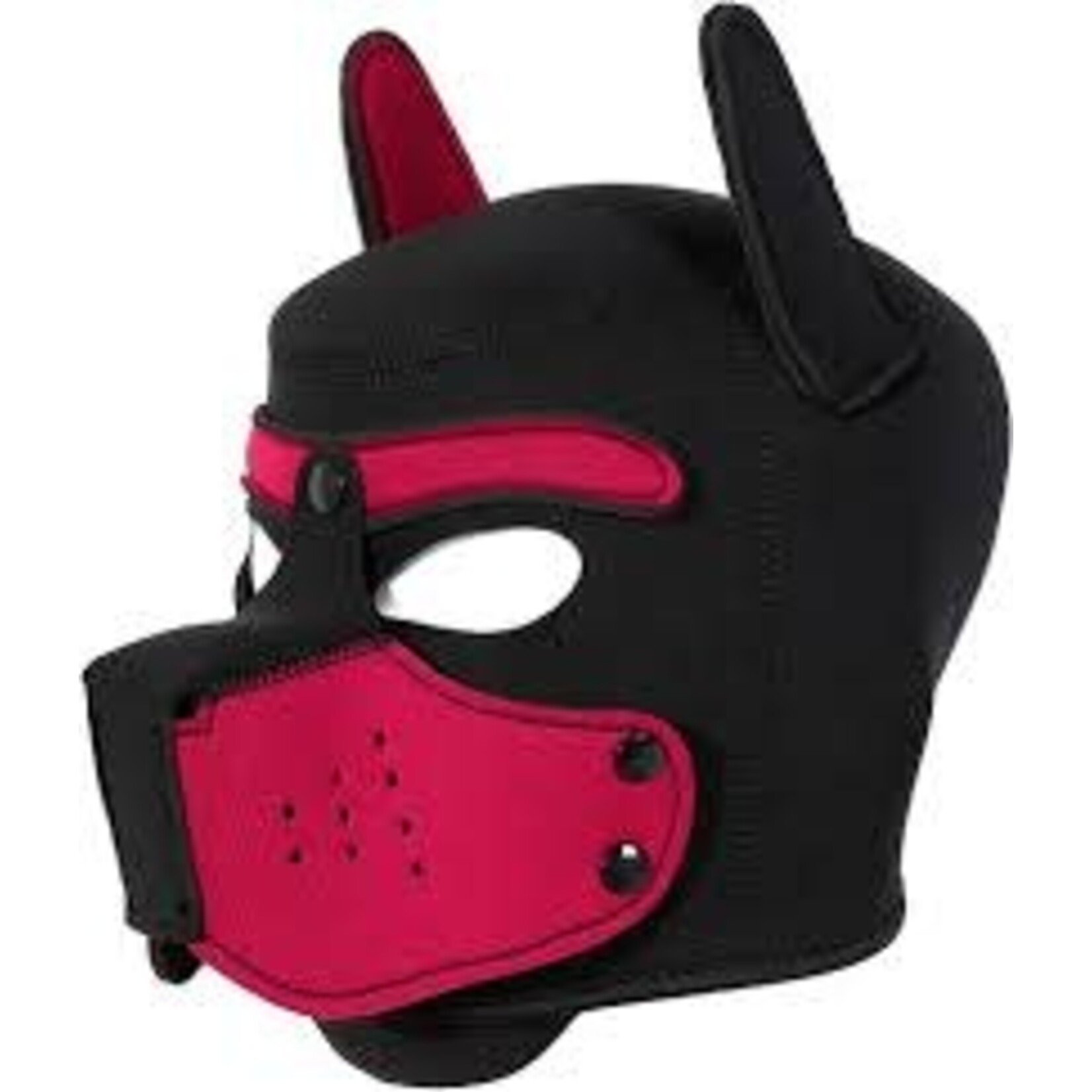 Kookie Neoprene Pup Mask Black Hood with  Colored Snout or Colored Hood with Black Snout
