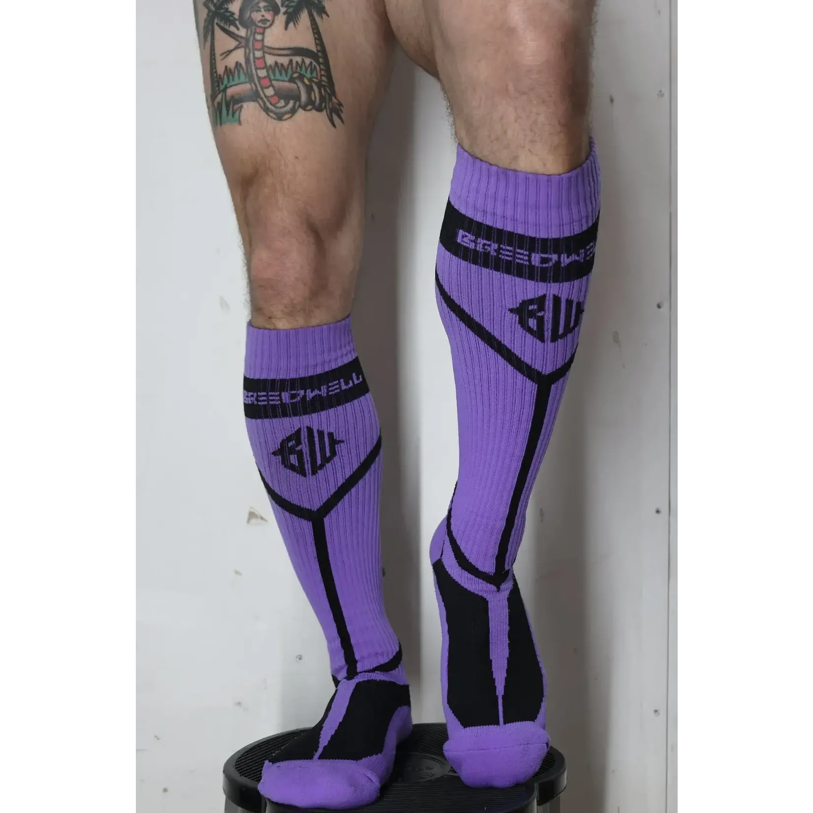 BreedWell Breedwell Hook up socks Purple OSFA