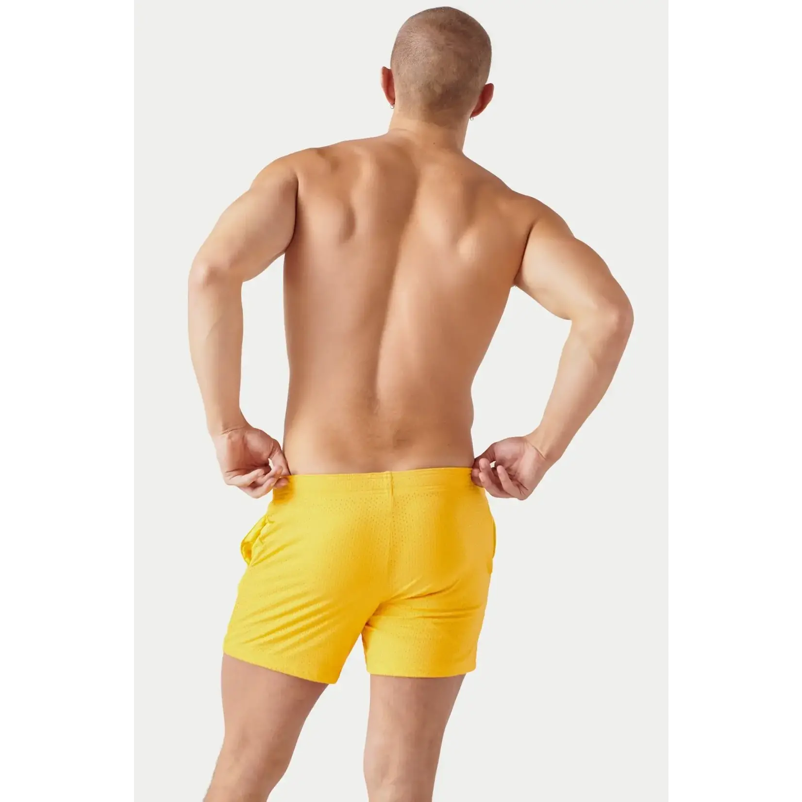 AWRY AWRY - VARSITY Shorts - Amber
