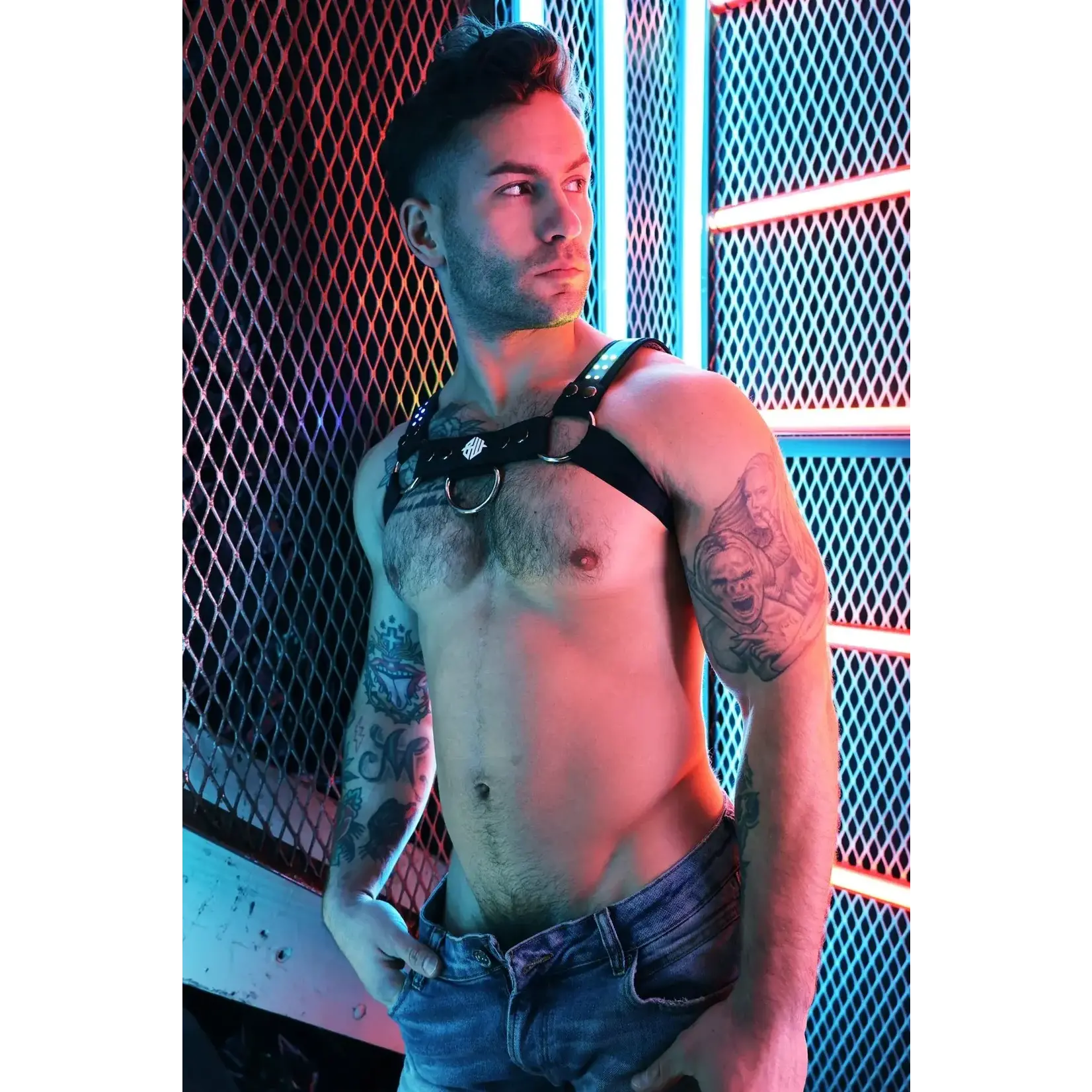 BreedWell BreedWell - Soundwave Bulldog Harness