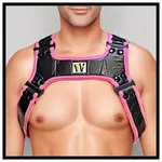 Fulton Fetish Wear FFW - Hero Harness - Pink