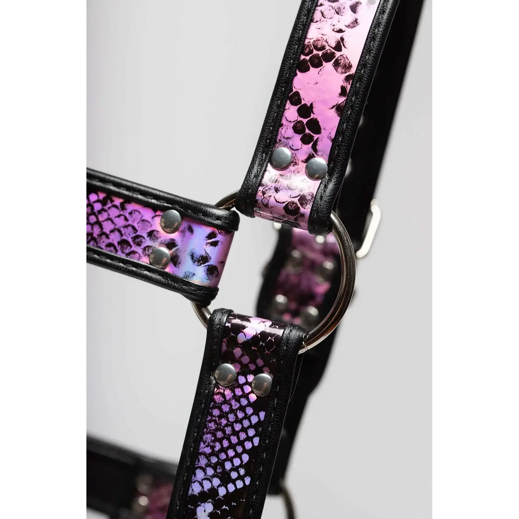 Folton Fetish Wear FFW - Seduction Snake Mens Bulldog Chest Harness