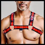 Folton Fetish Wear FFW - Inferno Mens Crocodile Embossed Bulldog Chest Harness