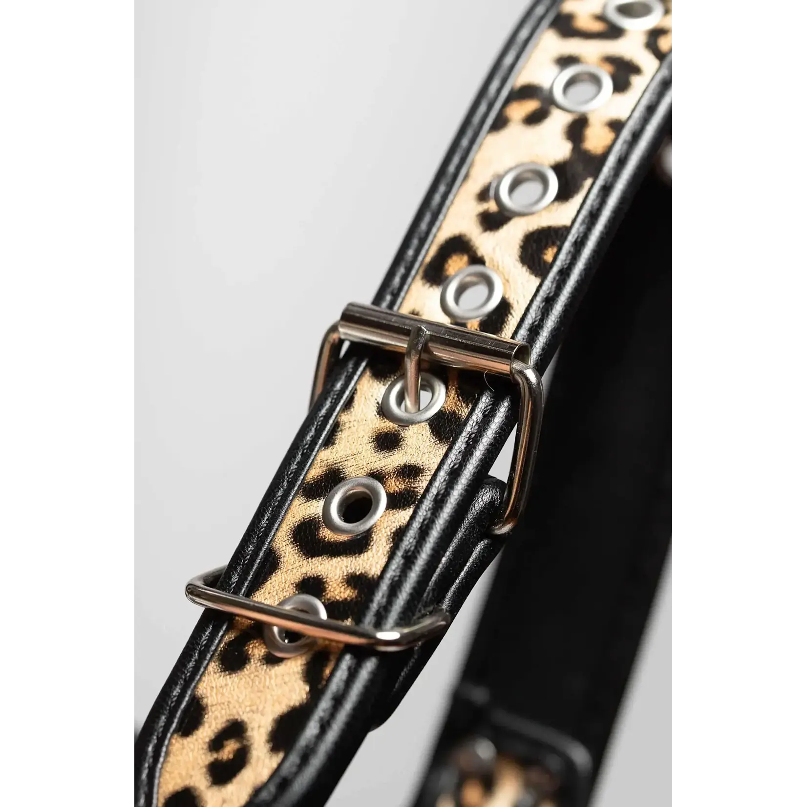 Folton Fetish Wear FFW - The Wild One Bulldog Chest Harness