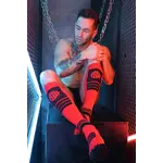 BreedWell Breedwell - Hypnotix Socks - Red