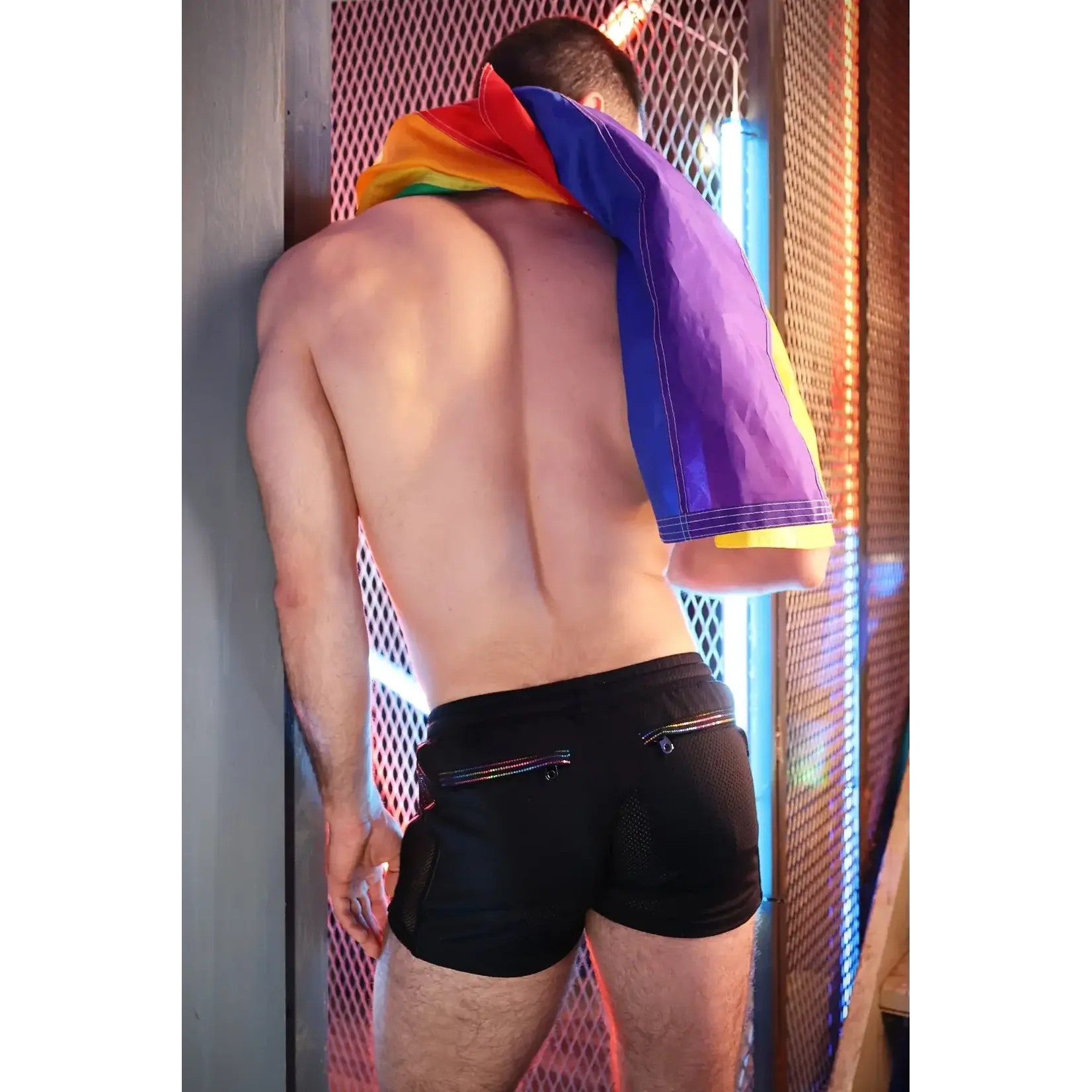 BreedWell BreedWell - Icon Pride Shorts