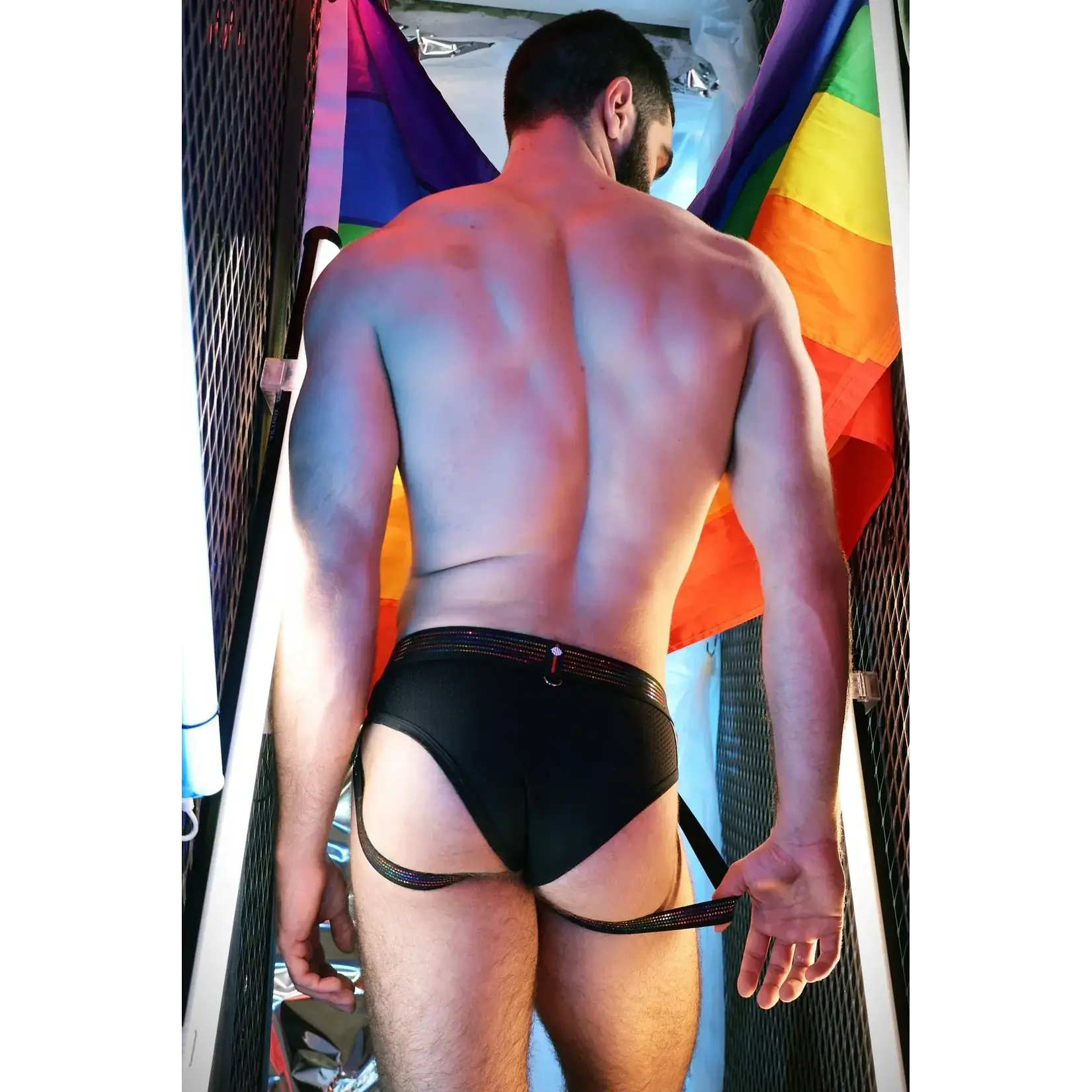 BreedWell BREEDWELL - Icon Pride Brief