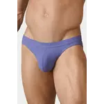 AWRY AWRY - OASIS Contour Swim Brief- Lavender