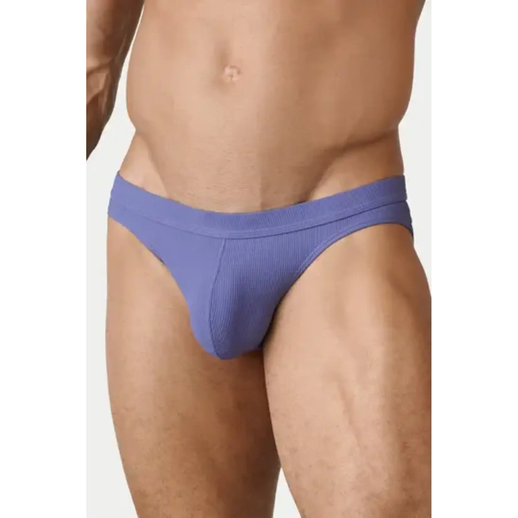 AWRY AWRY - OASIS Contour Swim Brief- Lavender